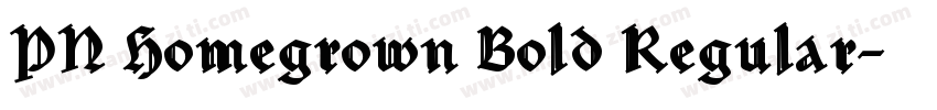 PN Homegrown Bold Regular字体转换